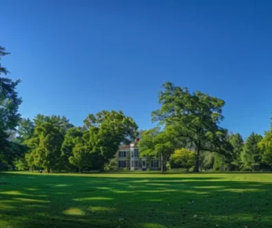 a historic colonial-era mansion surrounded by lush green gardens and towering oak trees under a clear blue sky in litchfield, ct.